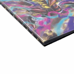 Ultra Pro Sword And Shield 11 Giratina And Gardevoir 9-Pocket Portfolio For Pokémon -Ultra Pro 15792